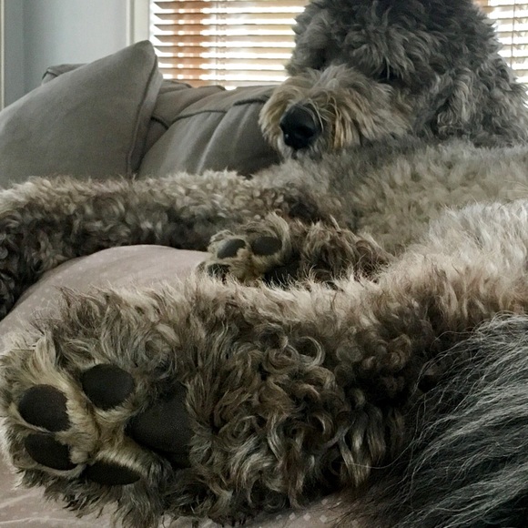 Meet the Posher - Picture 5 of 7